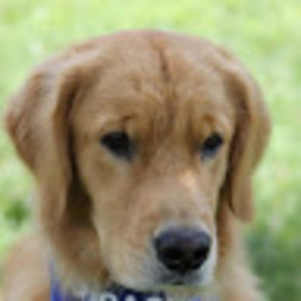 Meet your Posher, Julie